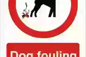 Dog Fouling